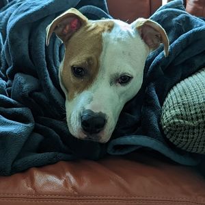 Meet your Posher, Scott